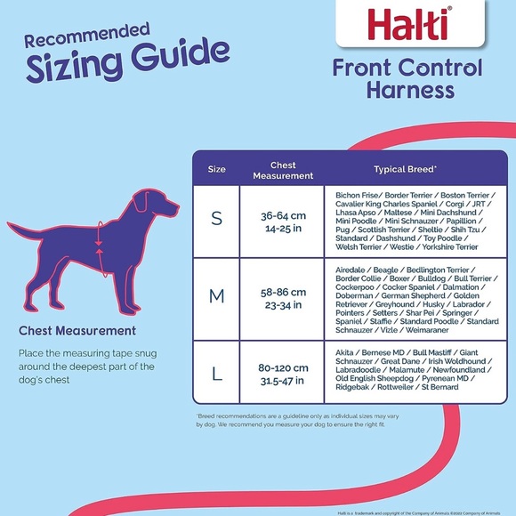 NEW HALTI Front Control Harness, Size Medium - Picture 2 of 6